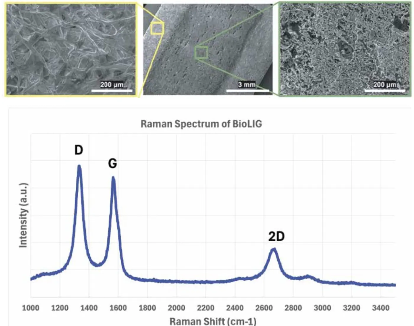 Scanning electron micrographs and a Raman spectrum of laser-induced graphene